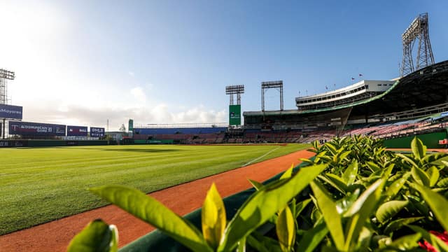 Juego Apasionado - Estadio Quisqueya Juan Marichal in Santo Domingo, Dominican Republic